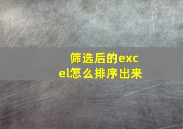 筛选后的excel怎么排序出来