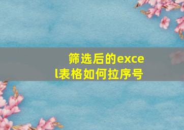 筛选后的excel表格如何拉序号