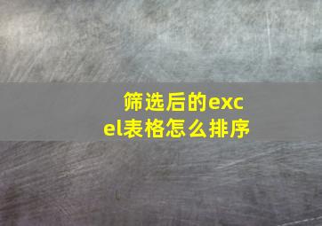 筛选后的excel表格怎么排序