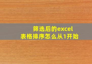 筛选后的excel表格排序怎么从1开始