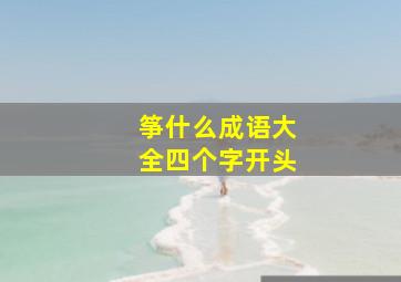 筝什么成语大全四个字开头