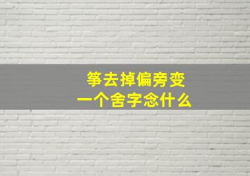 筝去掉偏旁变一个舍字念什么