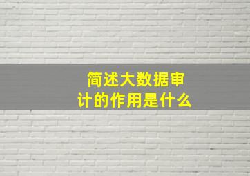 简述大数据审计的作用是什么