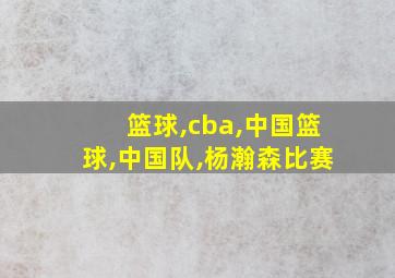 篮球,cba,中国篮球,中国队,杨瀚森比赛