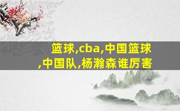 篮球,cba,中国篮球,中国队,杨瀚森谁厉害