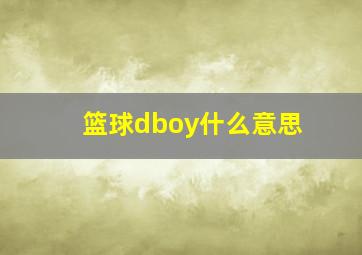 篮球dboy什么意思