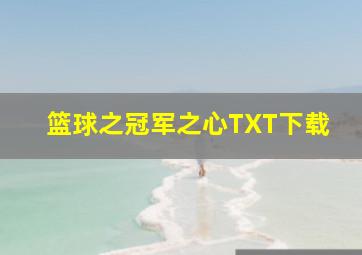 篮球之冠军之心TXT下载