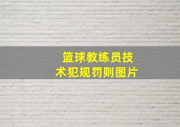 篮球教练员技术犯规罚则图片