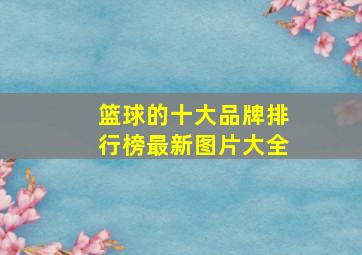 篮球的十大品牌排行榜最新图片大全