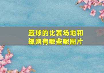 篮球的比赛场地和规则有哪些呢图片