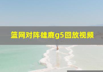 篮网对阵雄鹿g5回放视频