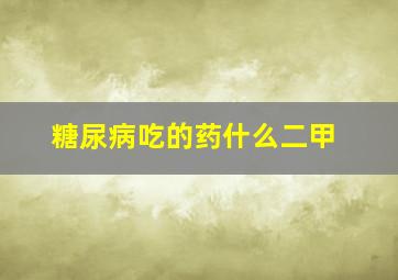 糖尿病吃的药什么二甲