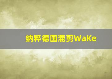 纳粹德国混剪WaKe