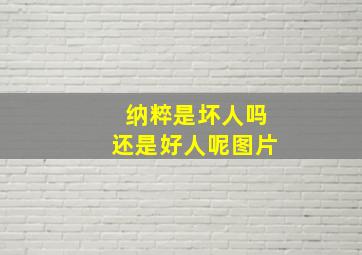 纳粹是坏人吗还是好人呢图片