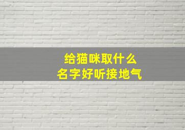 给猫咪取什么名字好听接地气