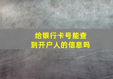 给银行卡号能查到开户人的信息吗