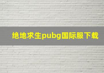 绝地求生pubg国际服下载