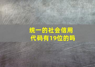 统一的社会信用代码有19位的吗