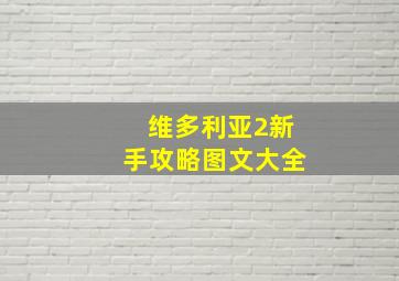 维多利亚2新手攻略图文大全