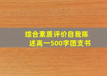 综合素质评价自我陈述高一500字团支书