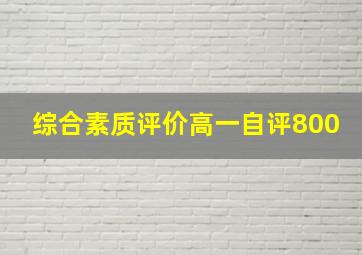 综合素质评价高一自评800