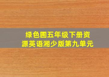 绿色圃五年级下册资源英语湘少版第九单元