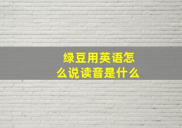 绿豆用英语怎么说读音是什么