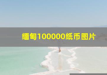 缅甸100000纸币图片