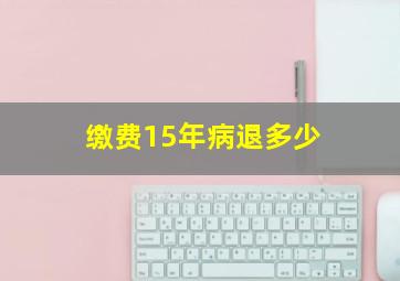 缴费15年病退多少