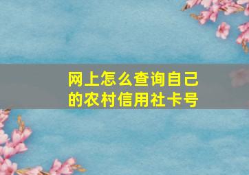 网上怎么查询自己的农村信用社卡号