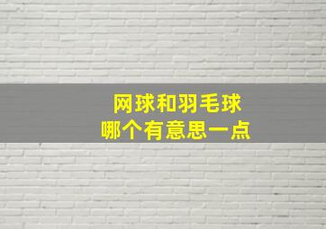 网球和羽毛球哪个有意思一点