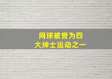 网球被誉为四大绅士运动之一