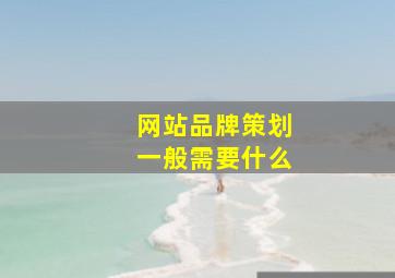 网站品牌策划一般需要什么