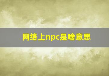 网络上npc是啥意思