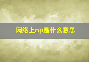 网络上np是什么意思