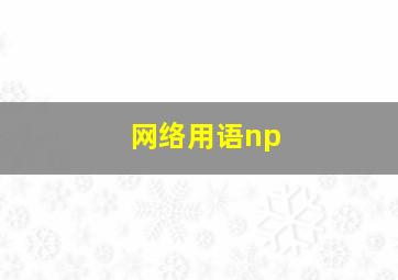 网络用语np