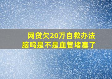 网贷欠20万自救办法脑呜是不是血管堵塞了