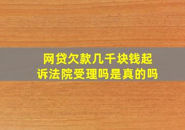 网贷欠款几千块钱起诉法院受理吗是真的吗