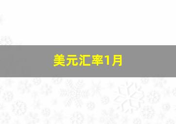 美元汇率1月