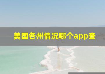 美国各州情况哪个app查