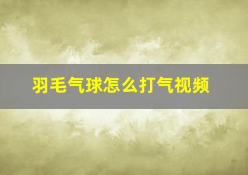 羽毛气球怎么打气视频