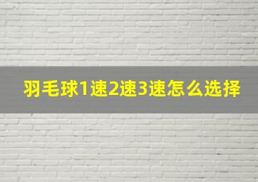 羽毛球1速2速3速怎么选择