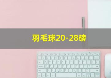 羽毛球20-28磅