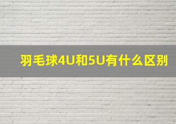 羽毛球4U和5U有什么区别