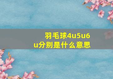 羽毛球4u5u6u分别是什么意思