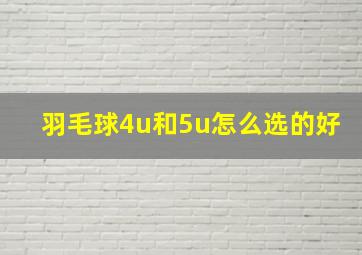 羽毛球4u和5u怎么选的好