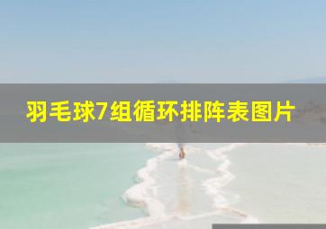 羽毛球7组循环排阵表图片