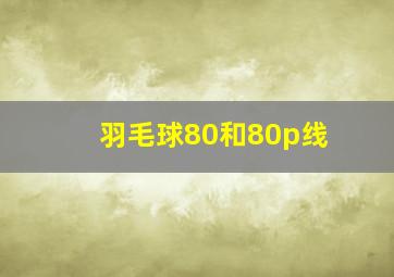 羽毛球80和80p线