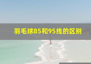 羽毛球85和95线的区别