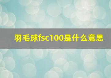 羽毛球fsc100是什么意思